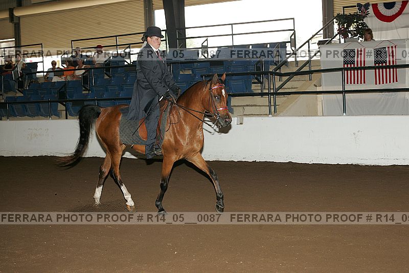 Proof Number r14_05__0087