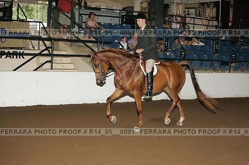 Proof Number r14_05__0091