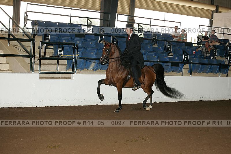 Proof Number r14_05__0097
