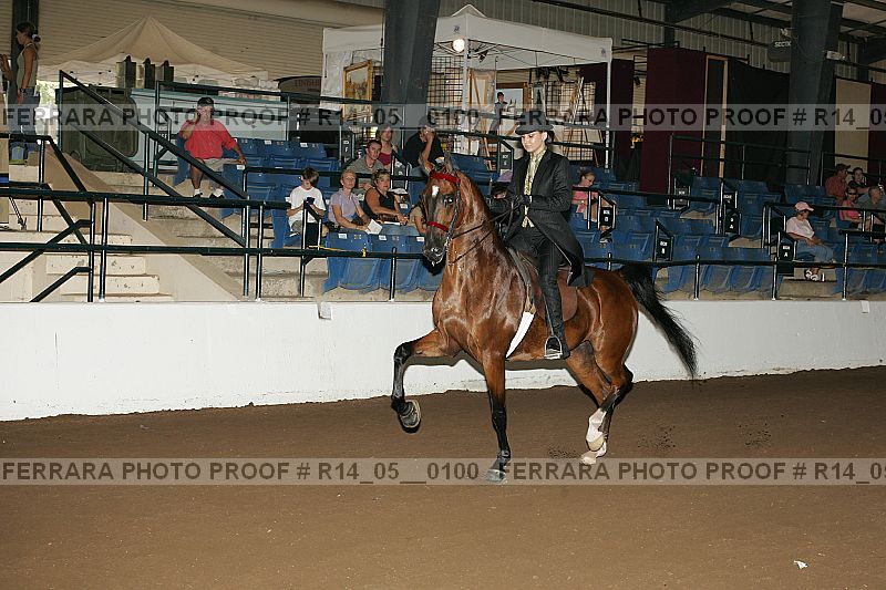 Proof Number r14_05__0100