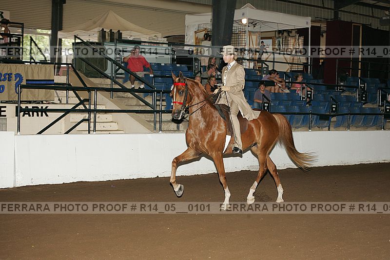 Proof Number r14_05__0101