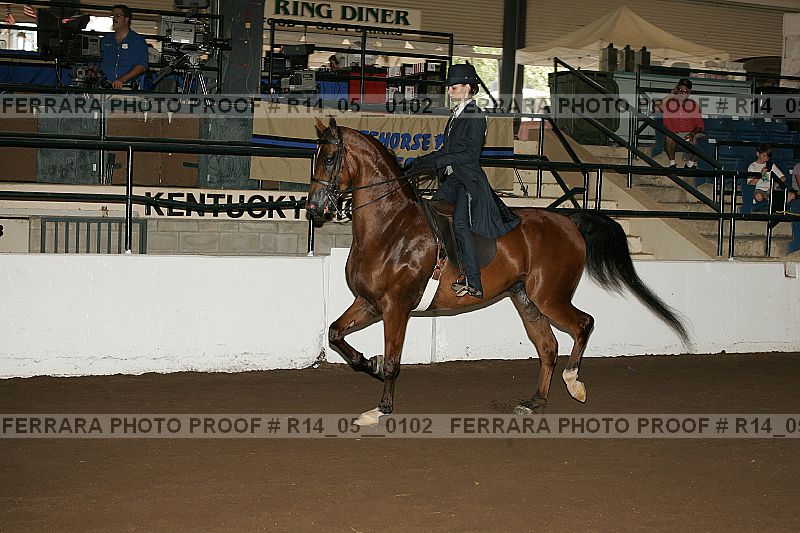 Proof Number r14_05__0102