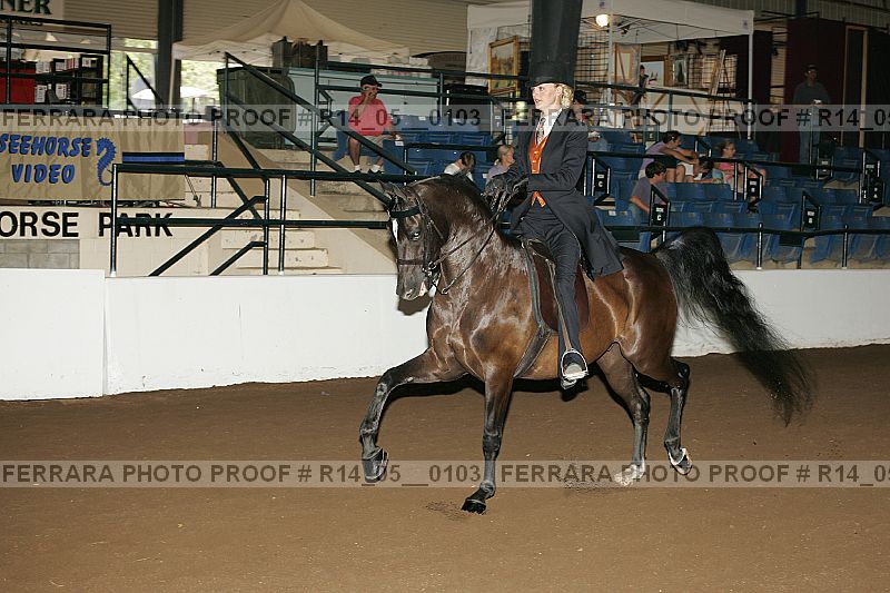 Proof Number r14_05__0103