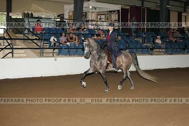 Proof Number r14_05__0104
