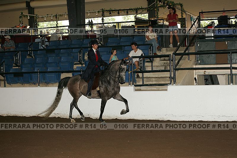 Proof Number r14_05__0106