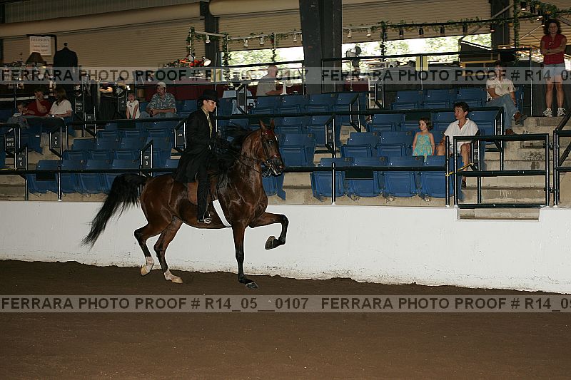 Proof Number r14_05__0107