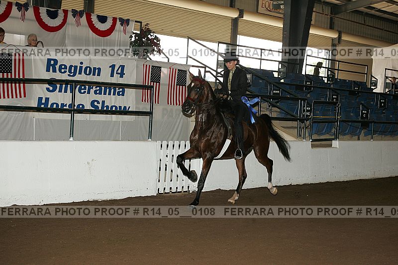 Proof Number r14_05__0108