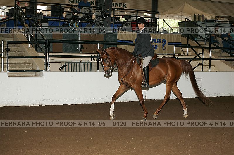 Proof Number r14_05__0120