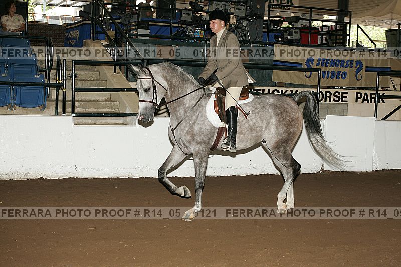 Proof Number r14_05__0121