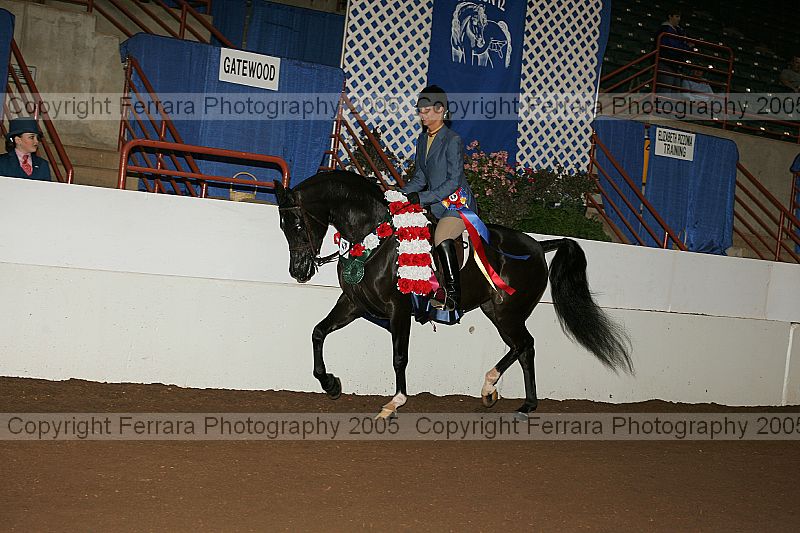 Proof Number r12_05__0960