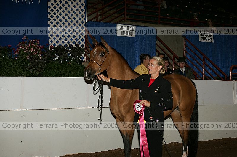 Proof Number r12_05__0410