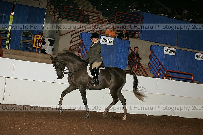 Proof Number r12_05__0745