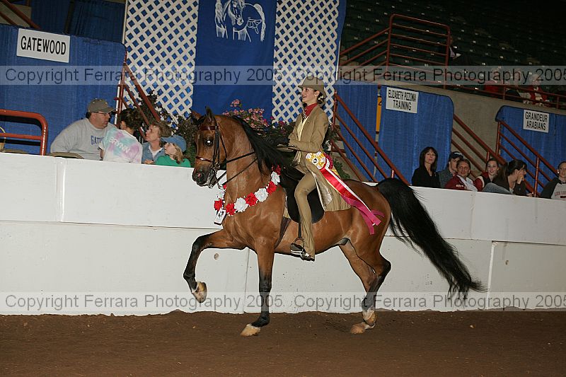 Proof Number r12_05__0875
