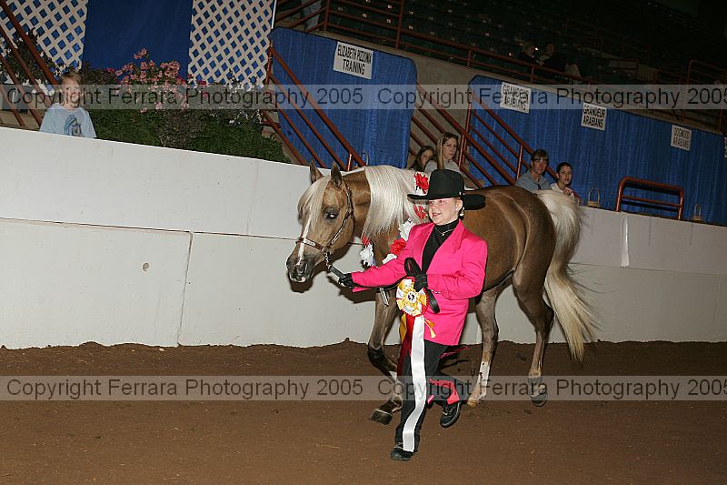 Proof Number r12_05__1038