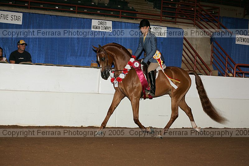 Proof Number r12_05__1054