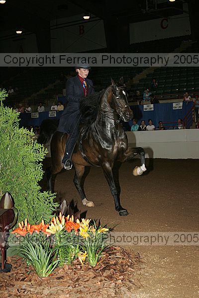 Proof Number r12_05__1331