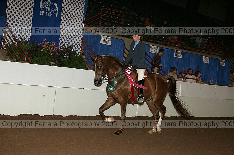 Proof Number r12_05__1496