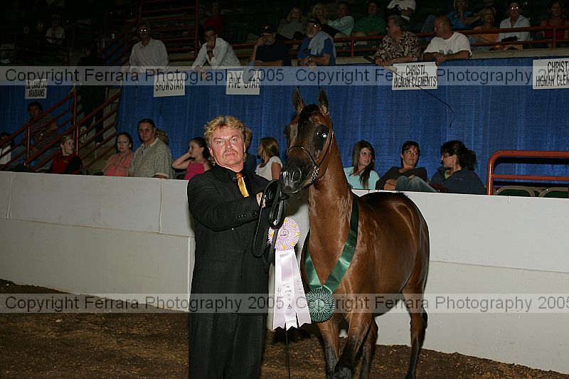Proof Number r12_05__1634