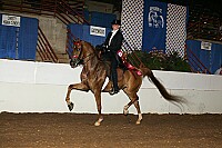 Proof Number r12_05__1569