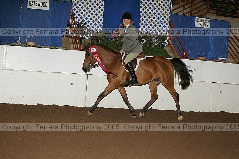 Proof Number r12_05__1206