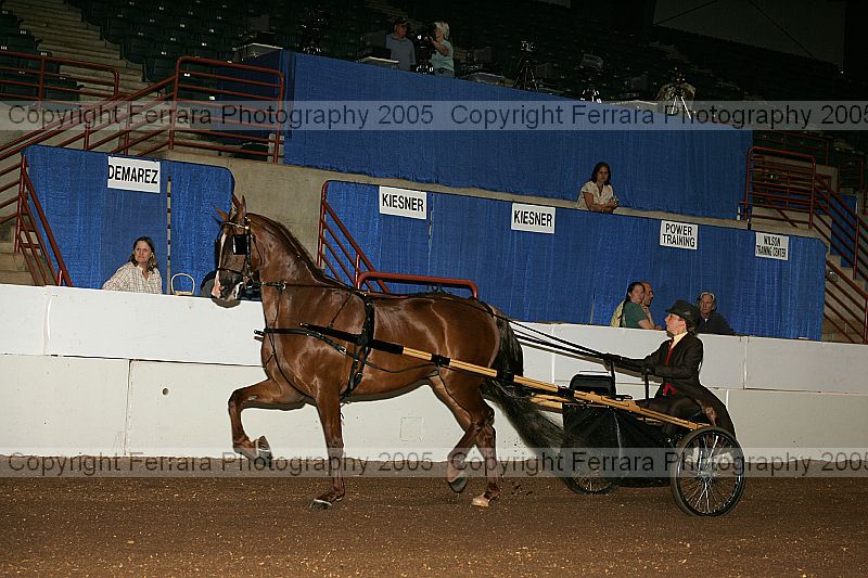 Proof Number r12_05__0016