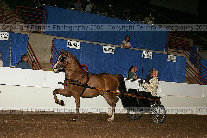 Proof Number r12_05__0017