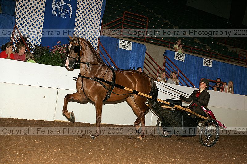 Proof Number r12_05__0021