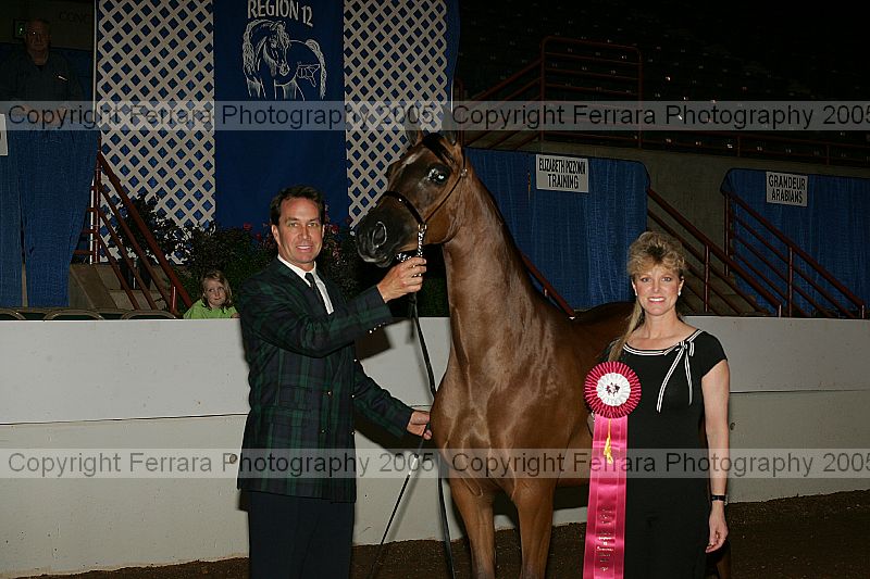 Proof Number r12_05__0036