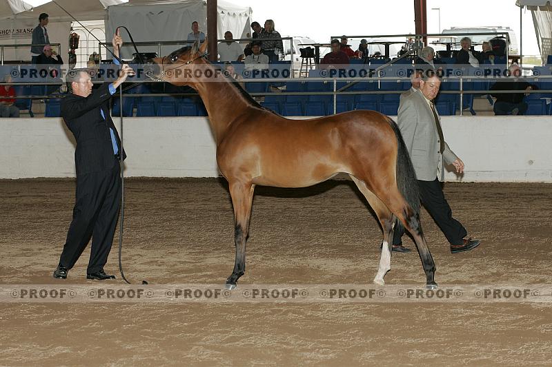 Proof Number r7_05__0455