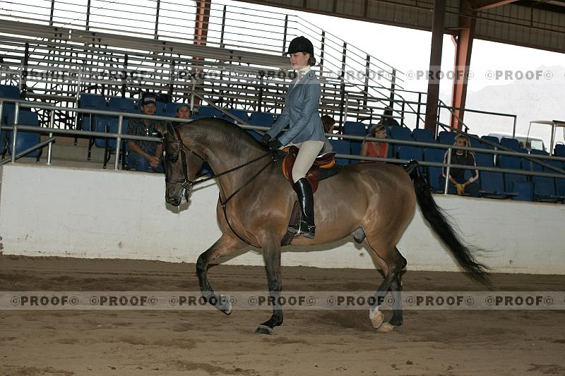 Proof Number r7_05__0523