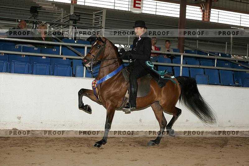 Proof Number r7_05__0545