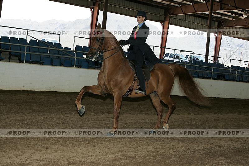 Proof Number r7_05__0848