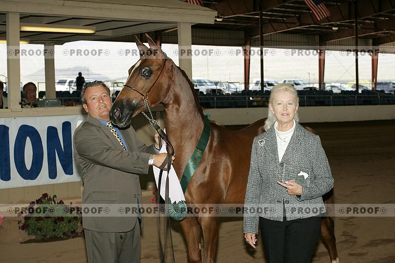 Proof Number r7_05__0894