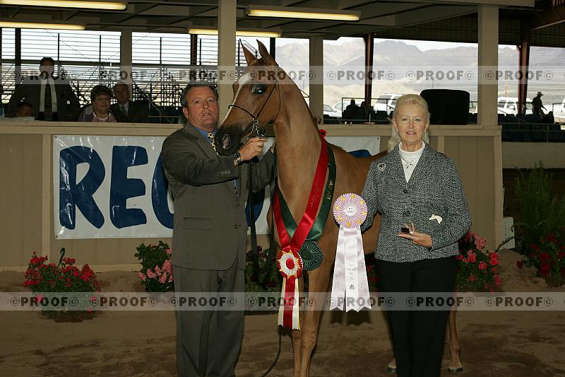 Proof Number r7_05__0906