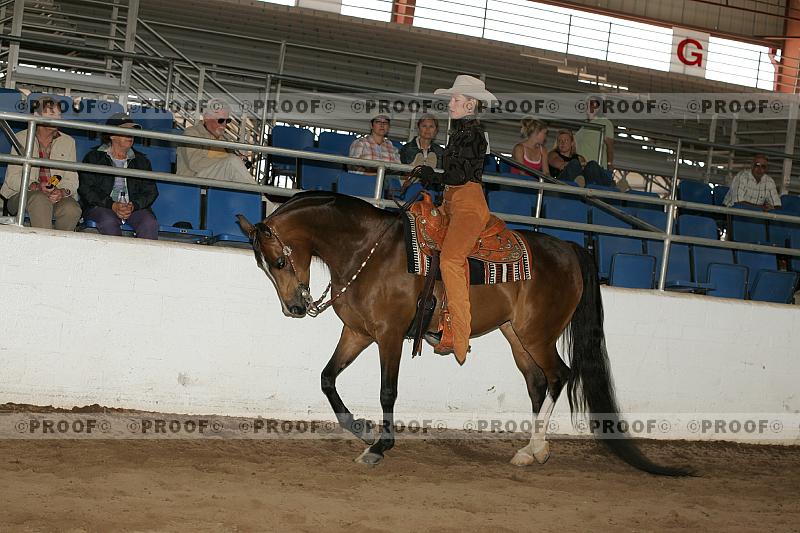 Proof Number r7_05__0956