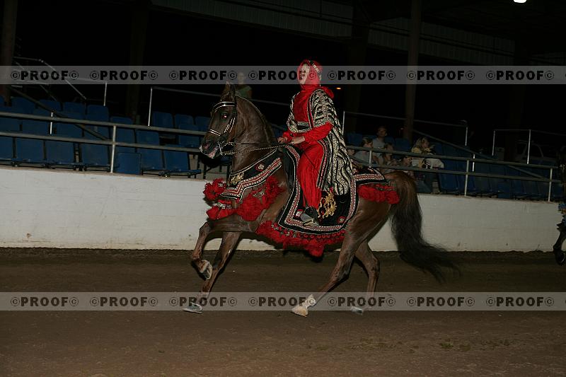 Proof Number r7_05__1094