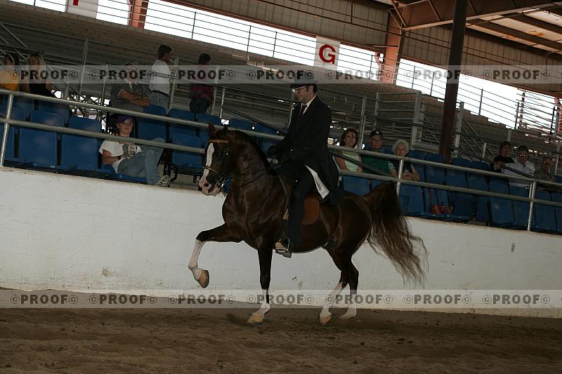 Proof Number r7_05__1302