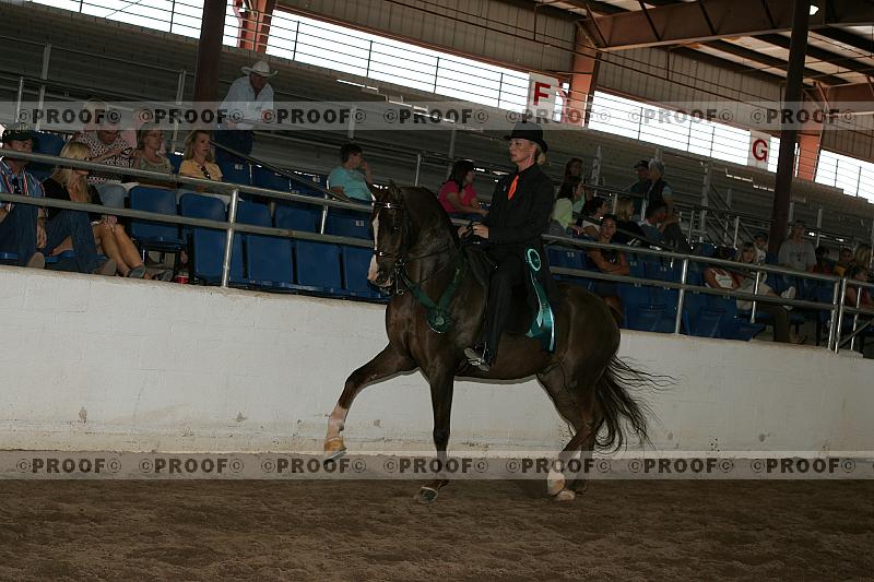 Proof Number r7_05__1307
