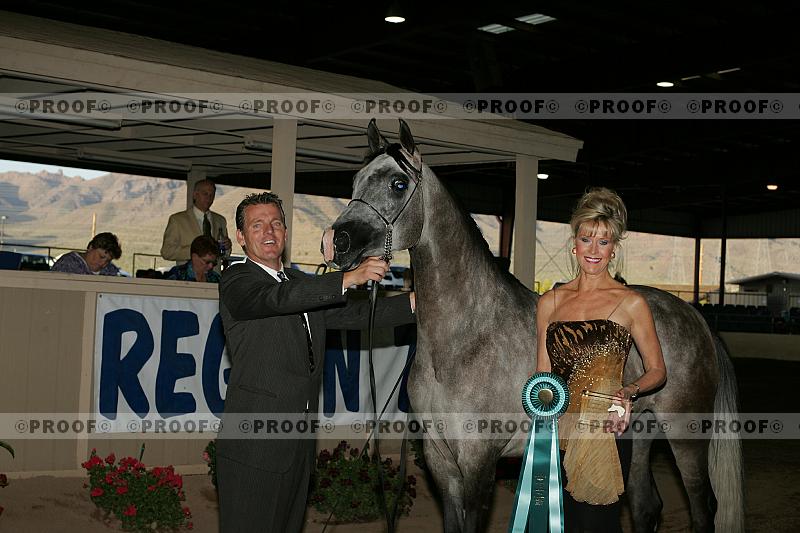 Proof Number r7_05__1383