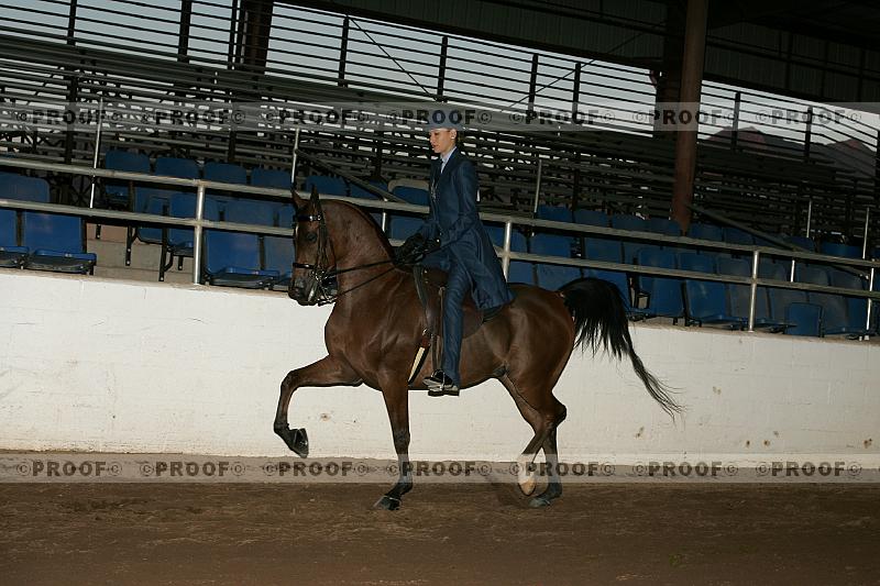 Proof Number r7_05__1433