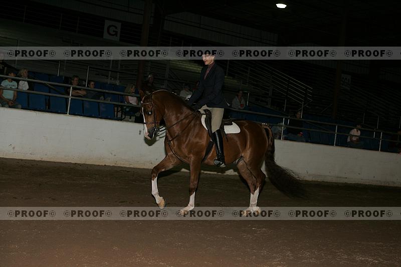 Proof Number r7_05__1498