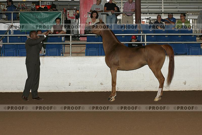 Proof Number r7_05__1525