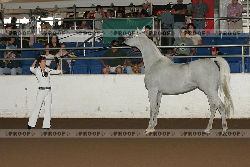 Proof Number r7_05__1529