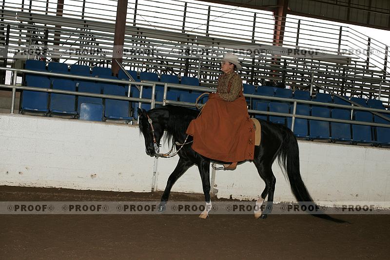 Proof Number r7_05__1547