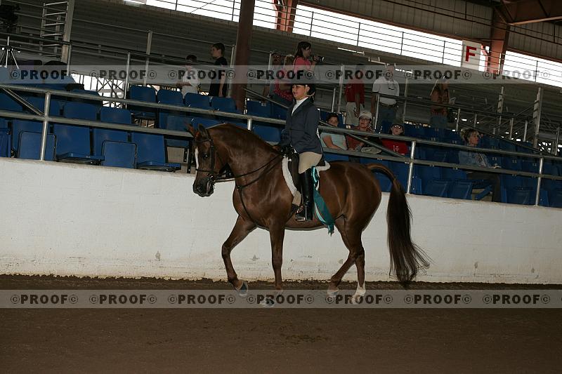 Proof Number r7_05__1587