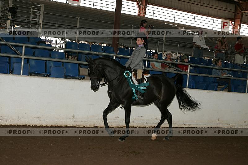 Proof Number r7_05__1589