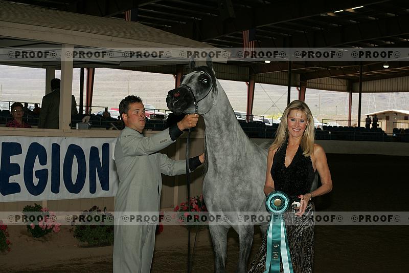 Proof Number r7_05__1741