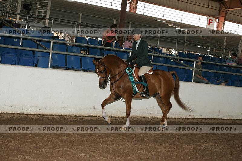 Proof Number r7_05__1701