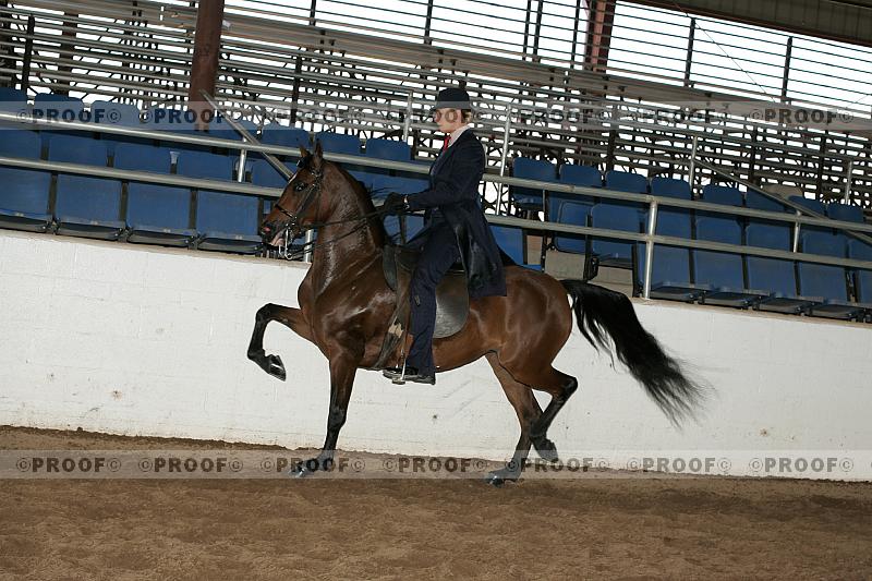 Proof Number r7_05__0186