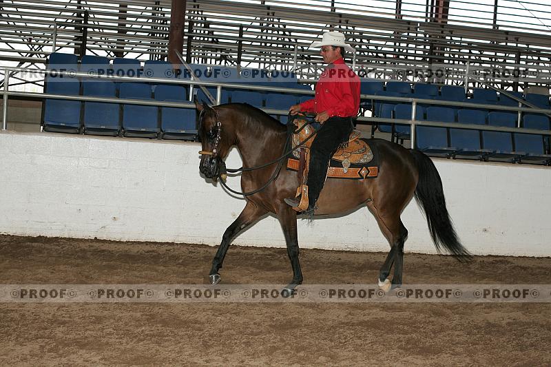 Proof Number r7_05__0195